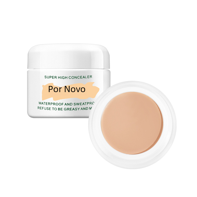 NOVO Radiant Finish Concealer