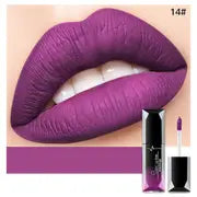 Elegant Matte Lipshine