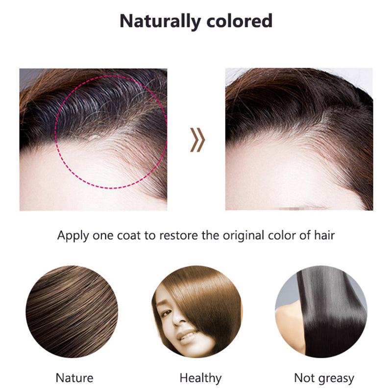 Elegant Gray Conceal Hair Dye Stick