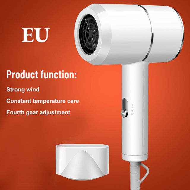 Shunrui Elite Ionic Hair Dryer