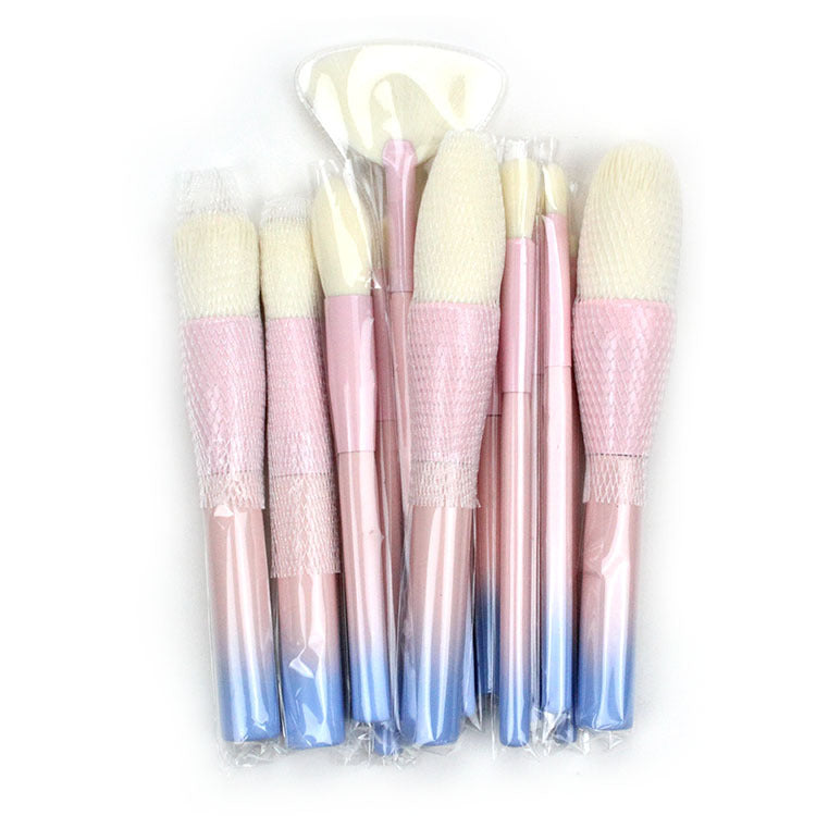 Elegant 14-Piece Gradient Brush Set