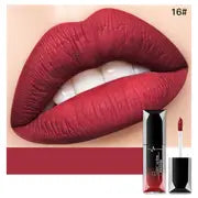 Elegant Matte Lipshine