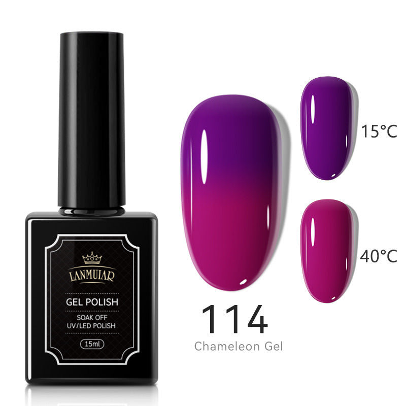Elite Salon Nail Polish Kit