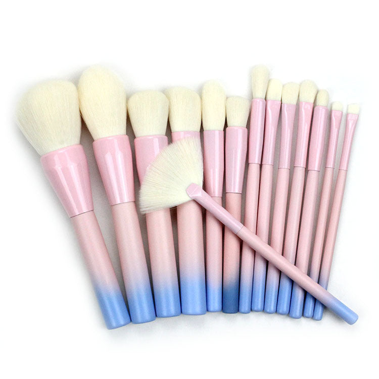 Elegant 14-Piece Gradient Brush Set