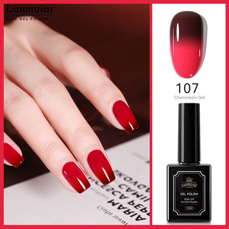 Elite Salon Nail Polish Kit