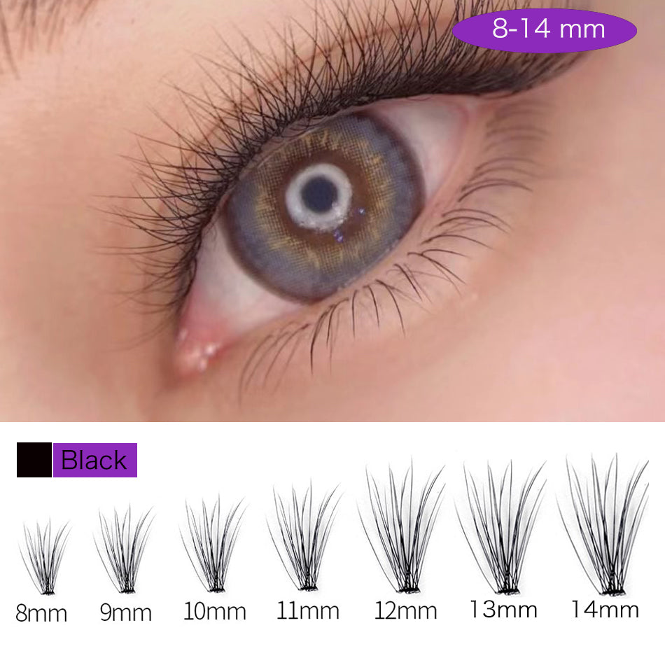 Elegant Melt Hair & Lash Extensions