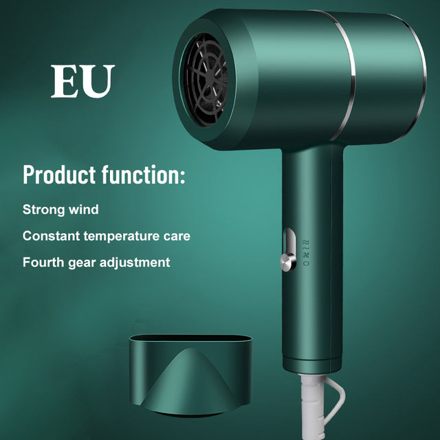 Shunrui Elite Ionic Hair Dryer