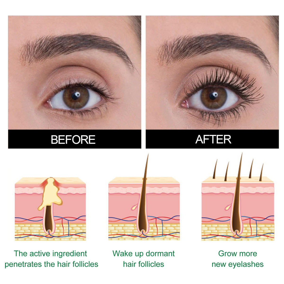 West&Month Elegant Lash Enhancer