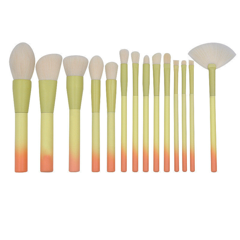 Elegant 14-Piece Artisan Brush Set