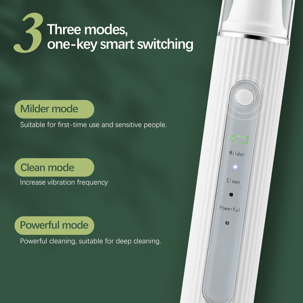 Ultrasonic Precision Dental Cleaner