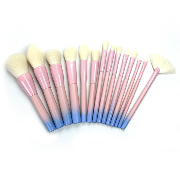 Elegant 14-Piece Gradient Brush Set