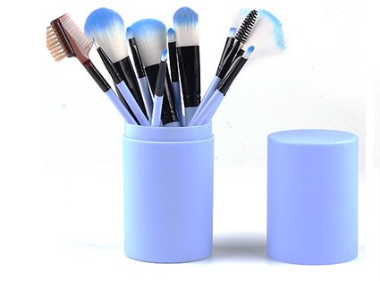 Elegant 12-Piece Cosmetic Brush Ensemble