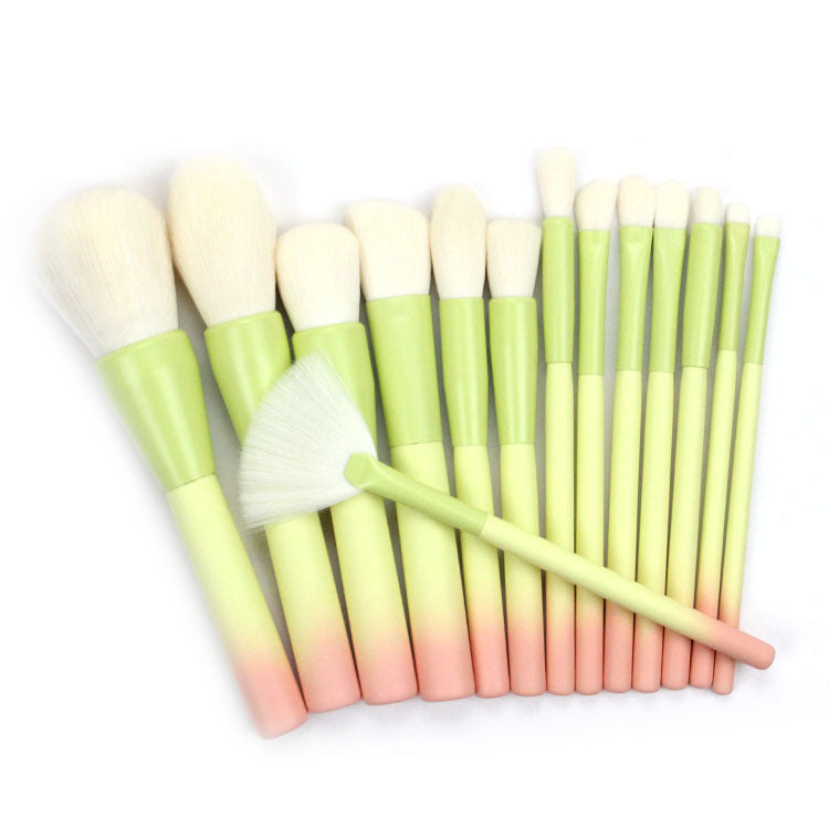 Elegant 14-Piece Gradient Brush Set
