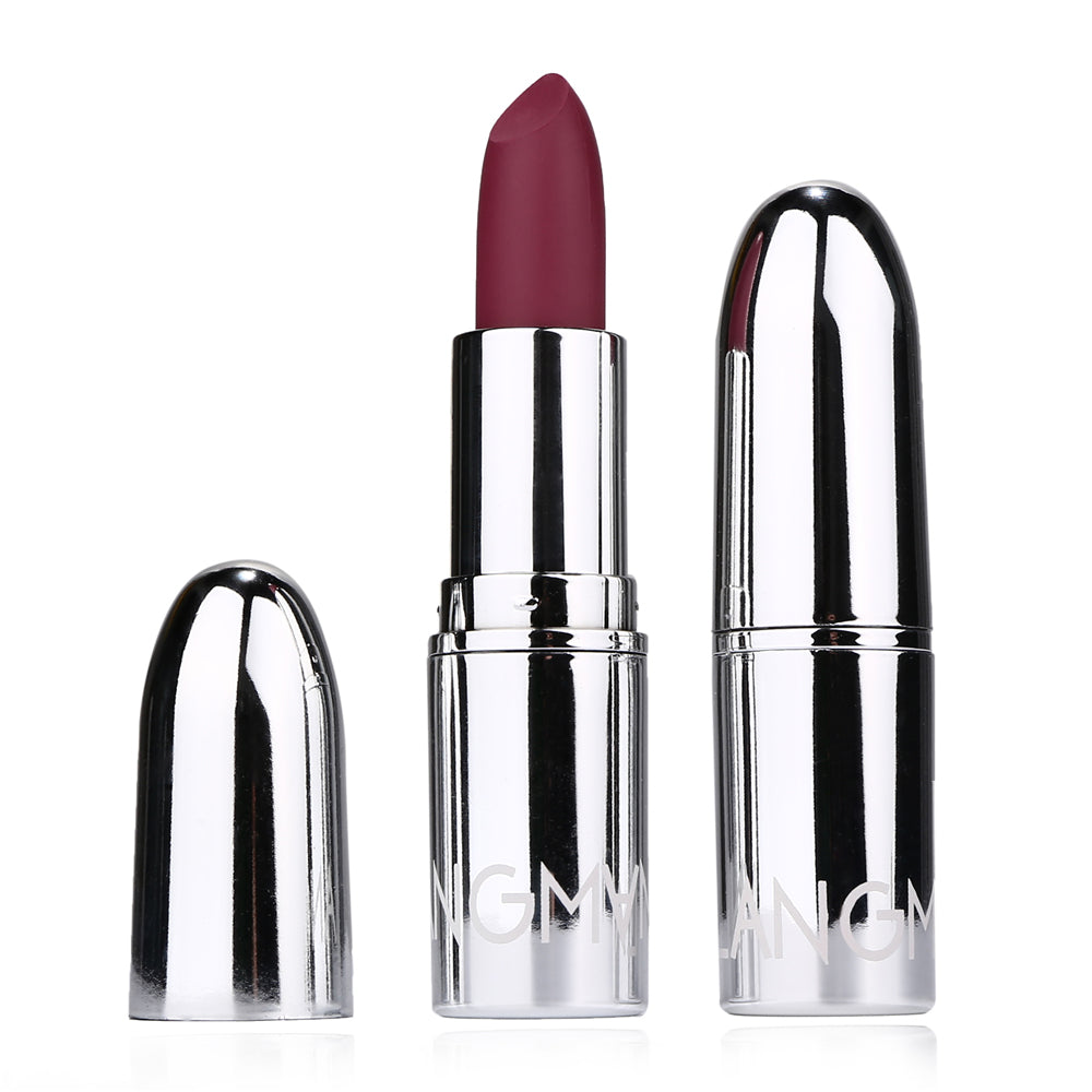 Elegant Silver Matte Lipstick Collection
