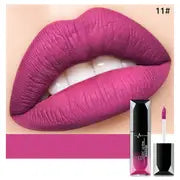 Elegant Matte Lipshine