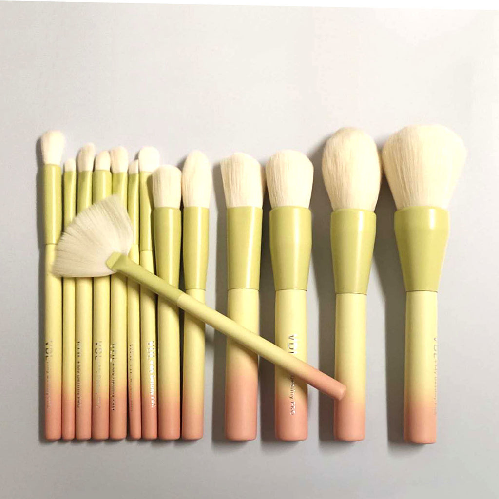Elegant 14-Piece Artisan Brush Set