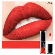 Elegant Matte Lipshine