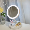Compact LED Illuminated Vanity Mirror