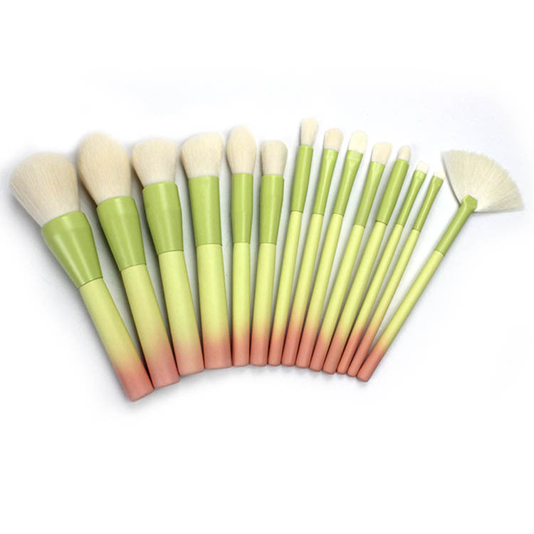 Elegant 14-Piece Gradient Brush Set